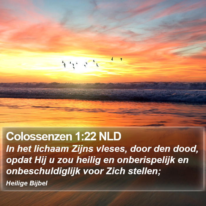 Colossenzen 1:22 NLD Bible Study