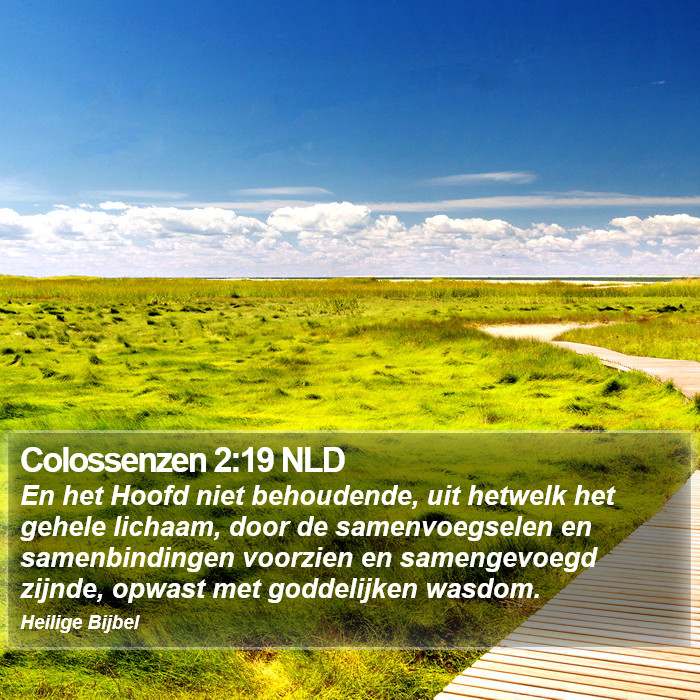 Colossenzen 2:19 NLD Bible Study