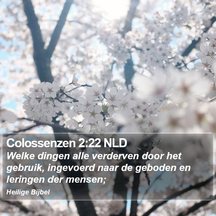 Colossenzen 2:22 NLD Bible Study