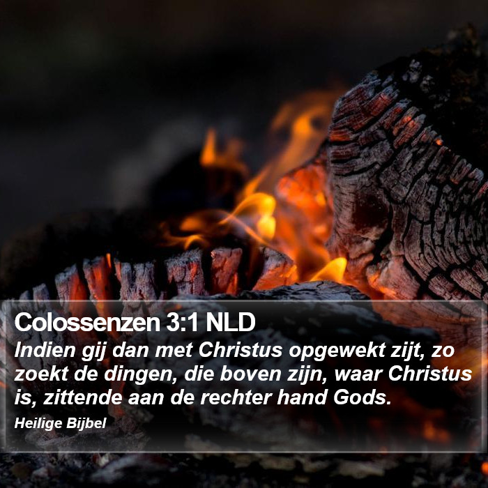 Colossenzen 3:1 NLD Bible Study