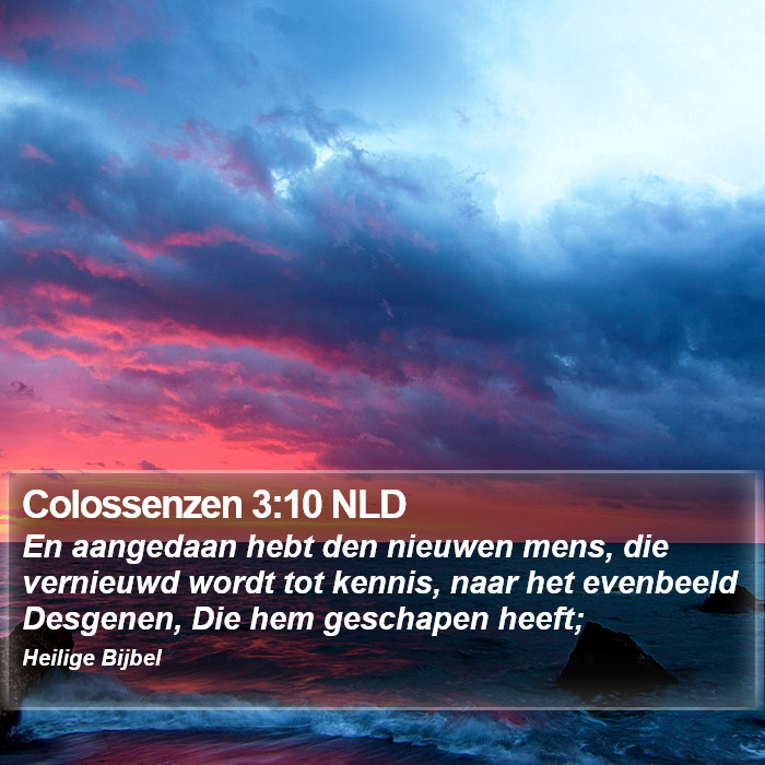 Colossenzen 3:10 NLD Bible Study