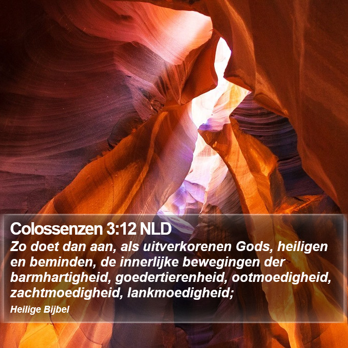 Colossenzen 3:12 NLD Bible Study