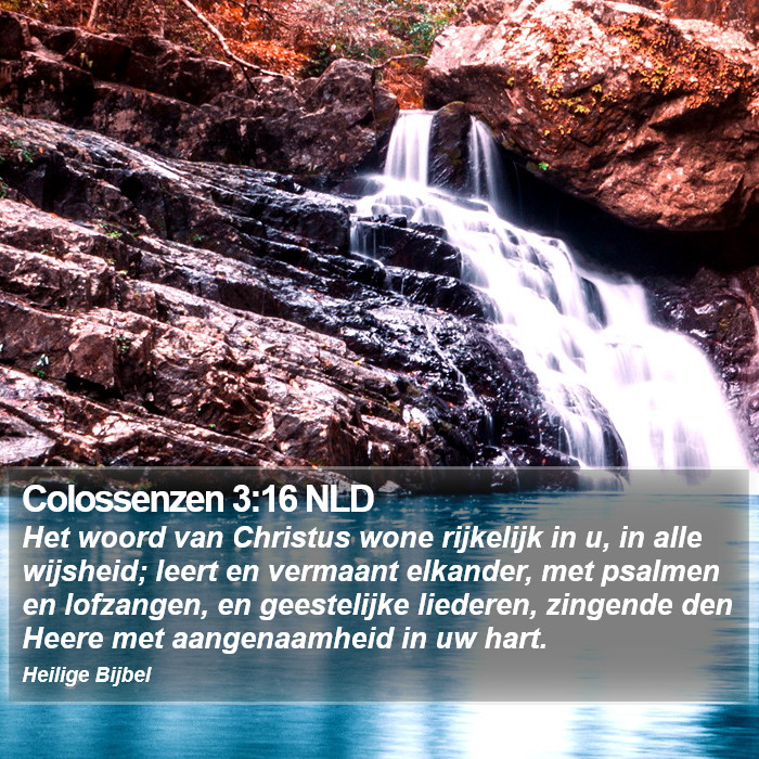 Colossenzen 3:16 NLD Bible Study