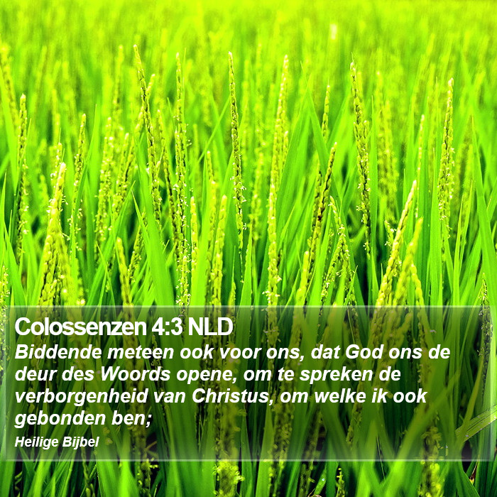 Colossenzen 4:3 NLD Bible Study