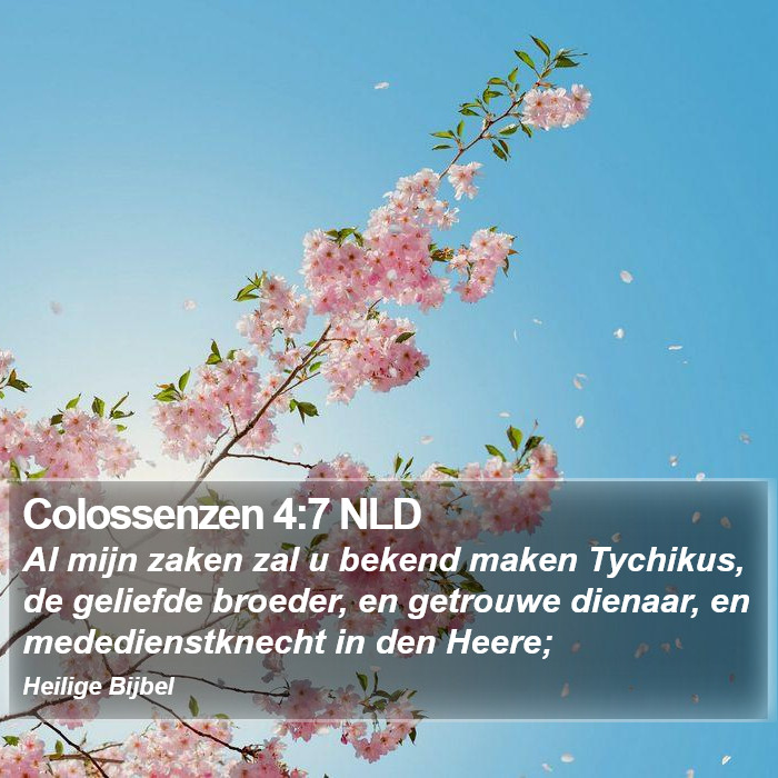 Colossenzen 4:7 NLD Bible Study