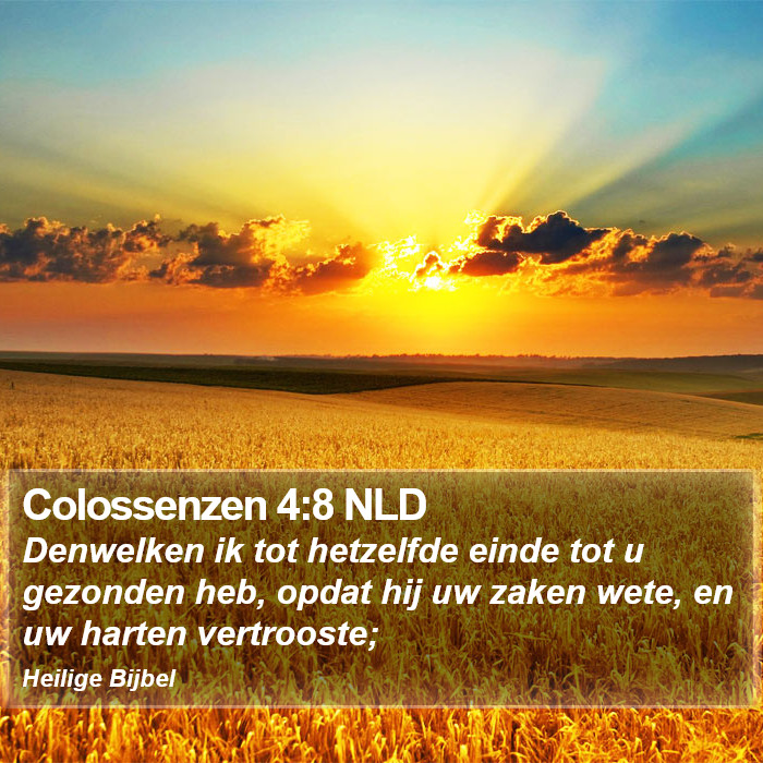 Colossenzen 4:8 NLD Bible Study