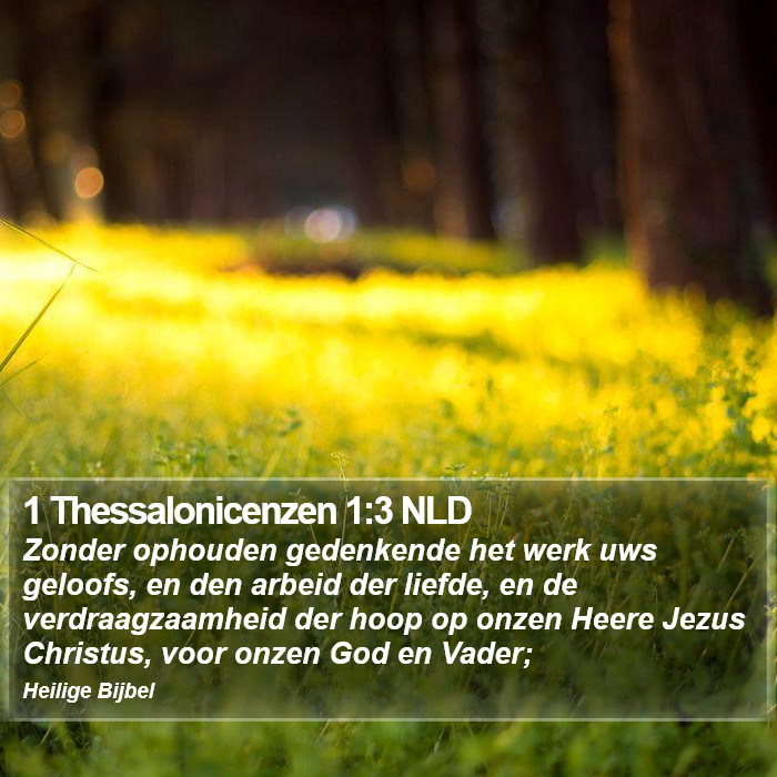 1 Thessalonicenzen 1:3 NLD Bible Study