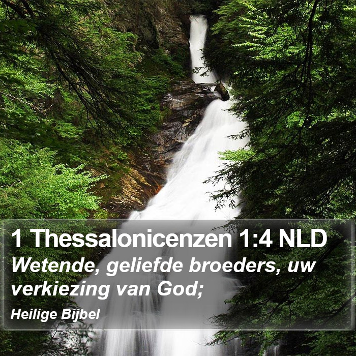 1 Thessalonicenzen 1:4 NLD Bible Study