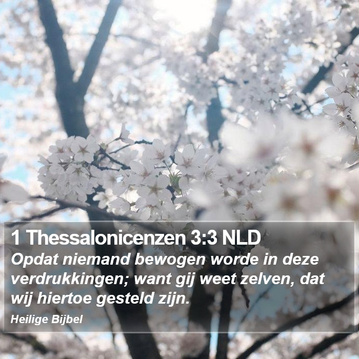 1 Thessalonicenzen 3:3 NLD Bible Study