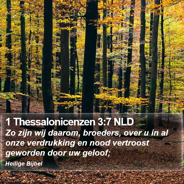 1 Thessalonicenzen 3:7 NLD Bible Study