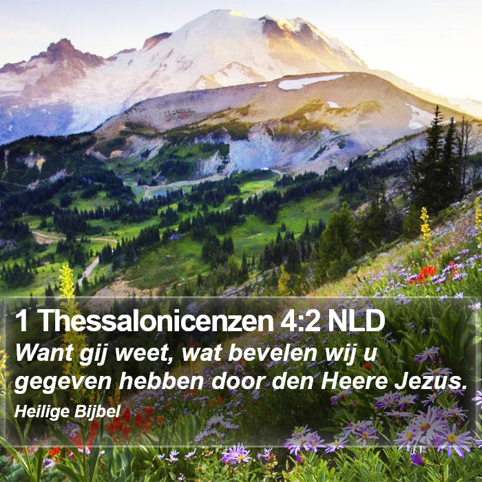 1 Thessalonicenzen 4:2 NLD Bible Study