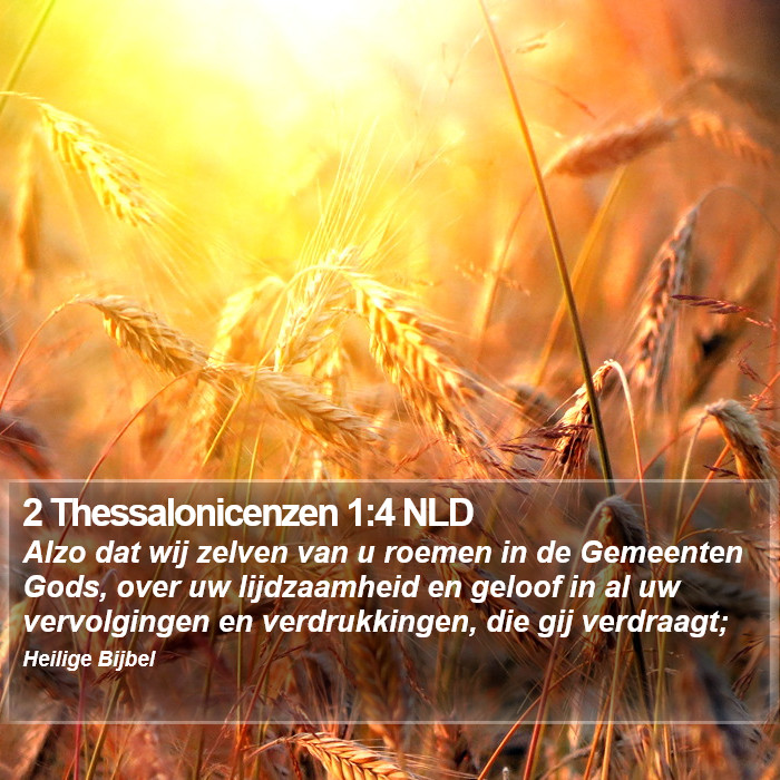 2 Thessalonicenzen 1:4 NLD Bible Study