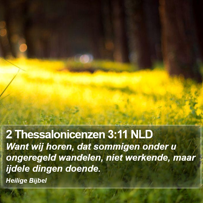 2 Thessalonicenzen 3:11 NLD Bible Study