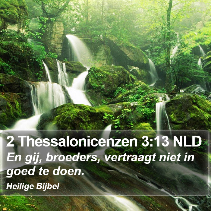 2 Thessalonicenzen 3:13 NLD Bible Study
