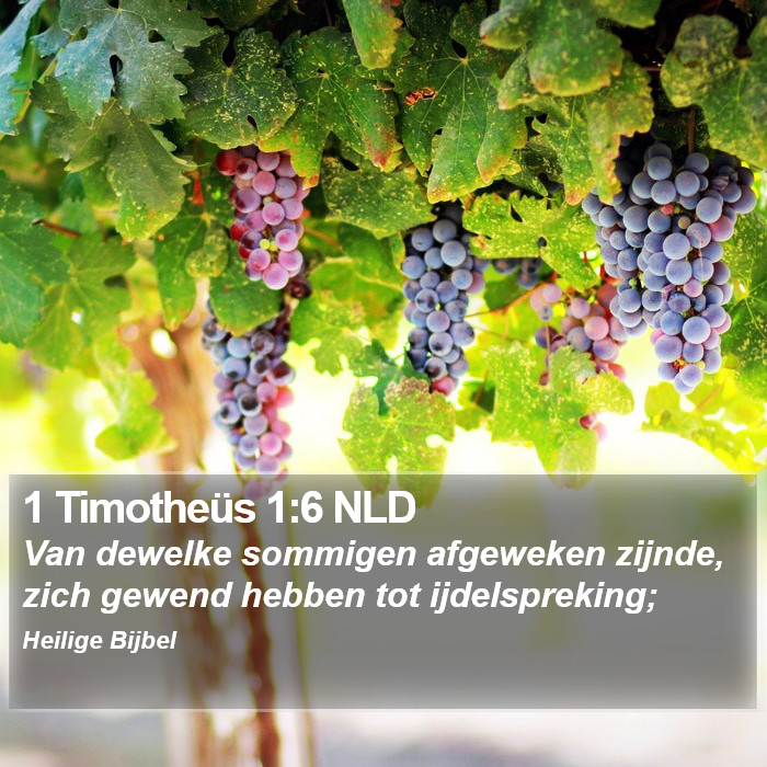 1 Timotheüs 1:6 NLD Bible Study