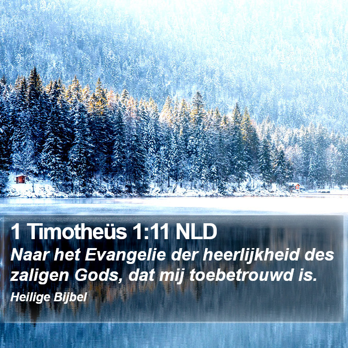 1 Timotheüs 1:11 NLD Bible Study