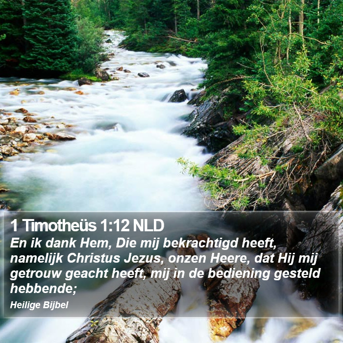 1 Timotheüs 1:12 NLD Bible Study