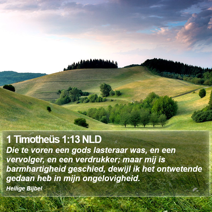 1 Timotheüs 1:13 NLD Bible Study