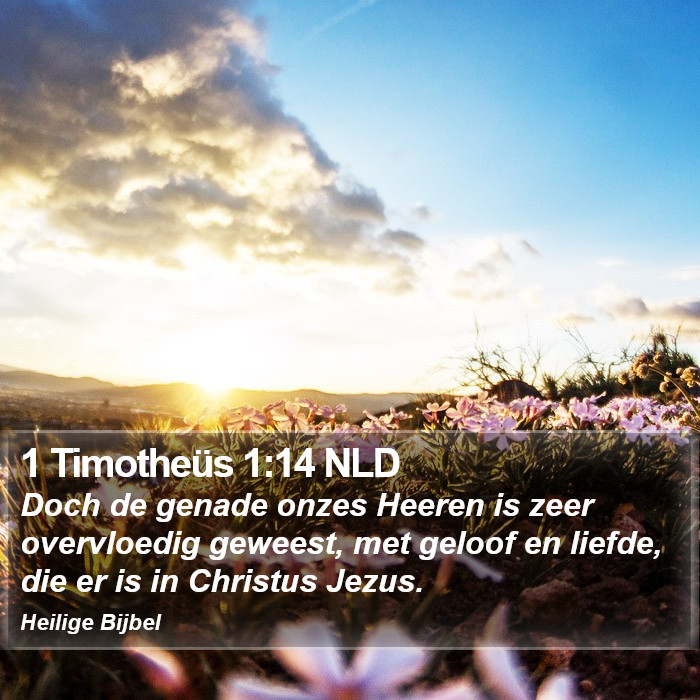 1 Timotheüs 1:14 NLD Bible Study