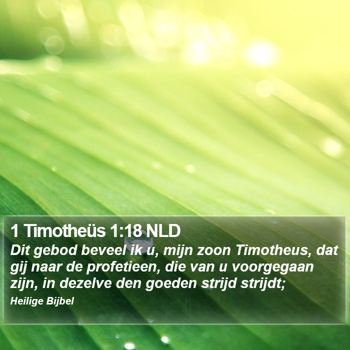 1 Timotheüs 1:18 NLD Bible Study