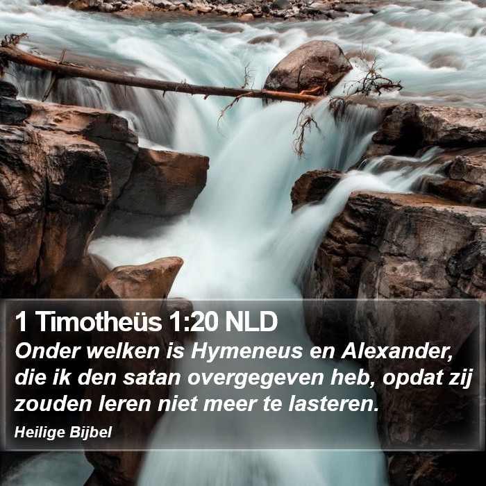 1 Timotheüs 1:20 NLD Bible Study