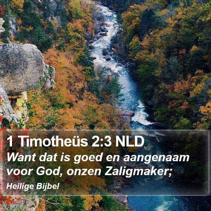 1 Timotheüs 2:3 NLD Bible Study