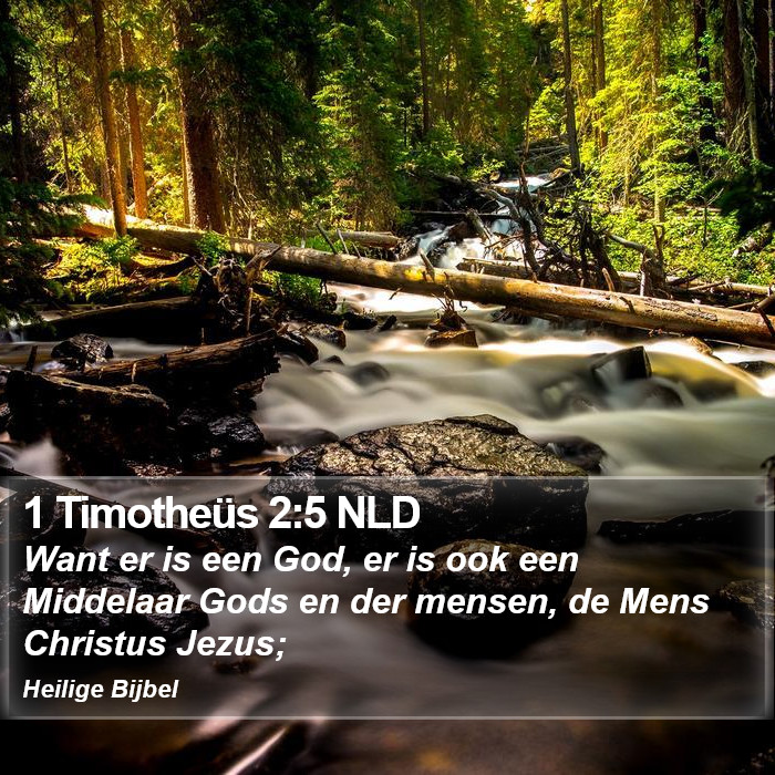 1 Timotheüs 2:5 NLD Bible Study