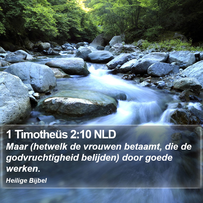 1 Timotheüs 2:10 NLD Bible Study