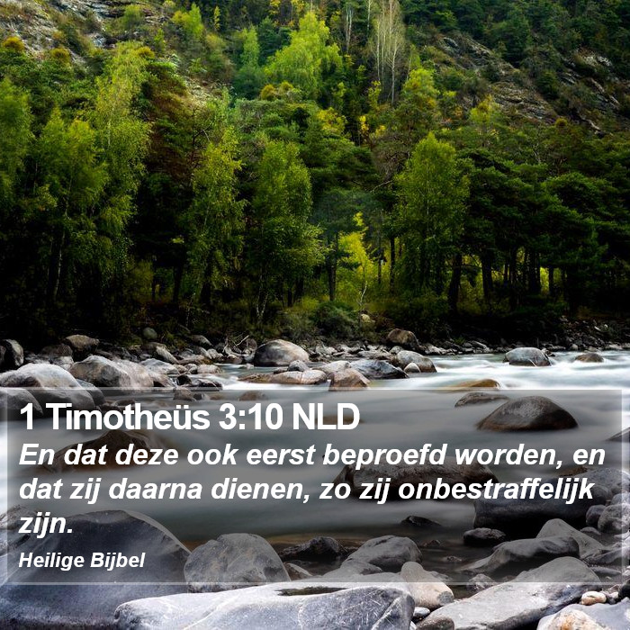 1 Timotheüs 3:10 NLD Bible Study