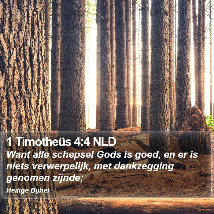 1 Timotheüs 4:4 NLD Bible Study