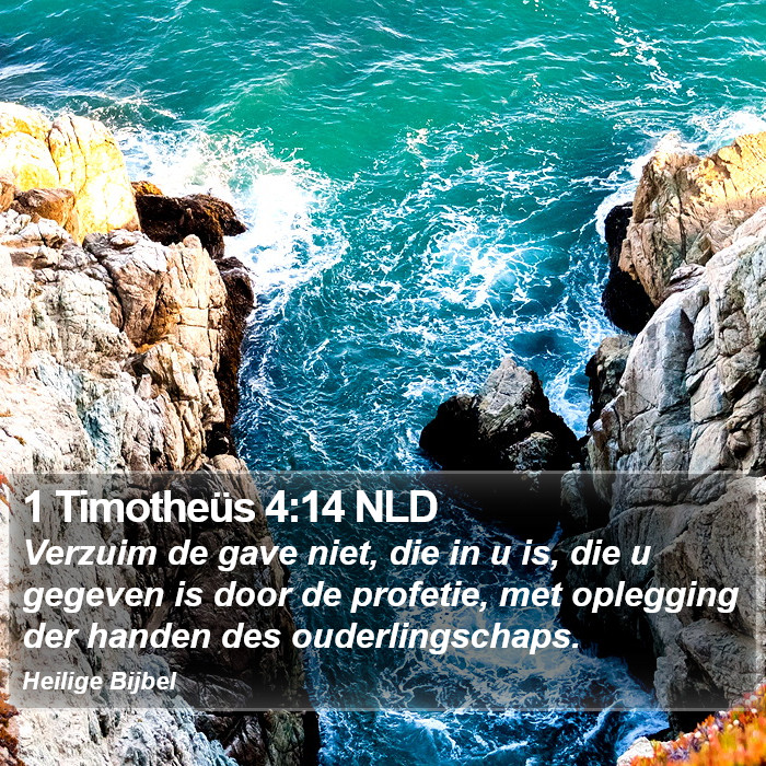 1 Timotheüs 4:14 NLD Bible Study