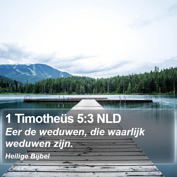 1 Timotheüs 5:3 NLD Bible Study