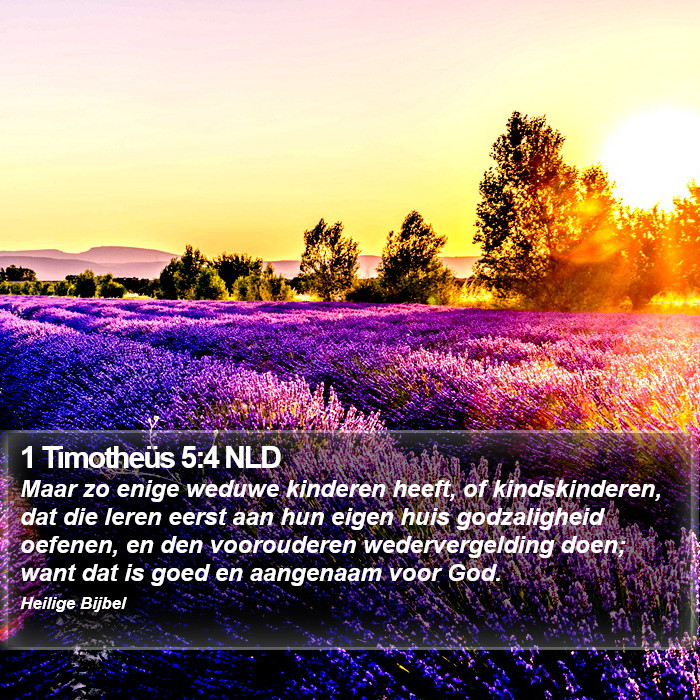1 Timotheüs 5:4 NLD Bible Study