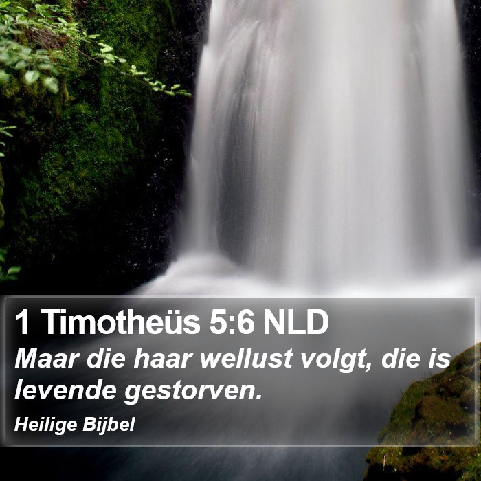 1 Timotheüs 5:6 NLD Bible Study