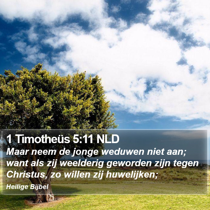 1 Timotheüs 5:11 NLD Bible Study