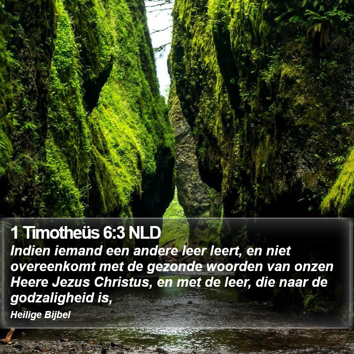 1 Timotheüs 6:3 NLD Bible Study