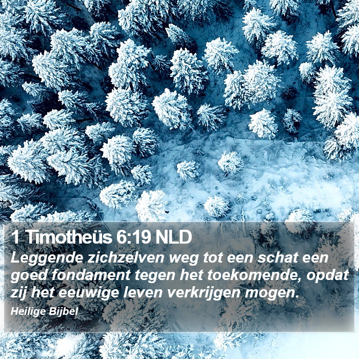 1 Timotheüs 6:19 NLD Bible Study