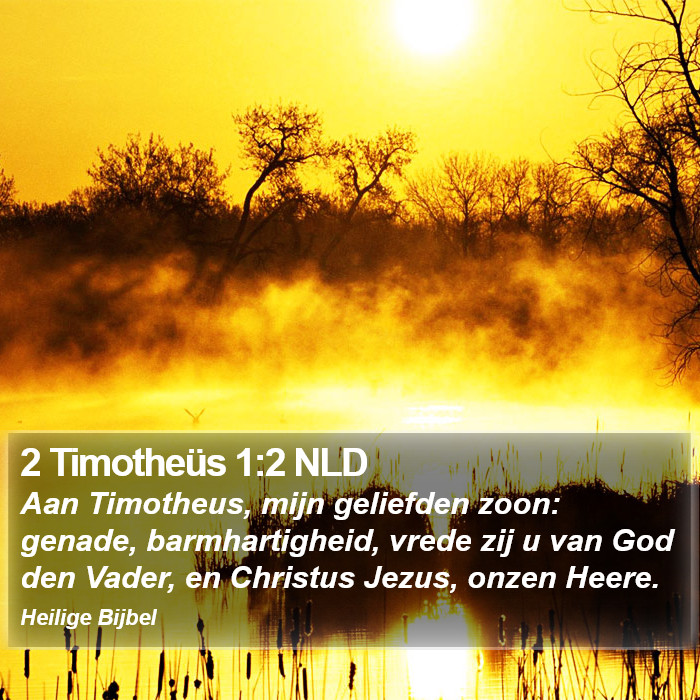 2 Timotheüs 1:2 NLD Bible Study