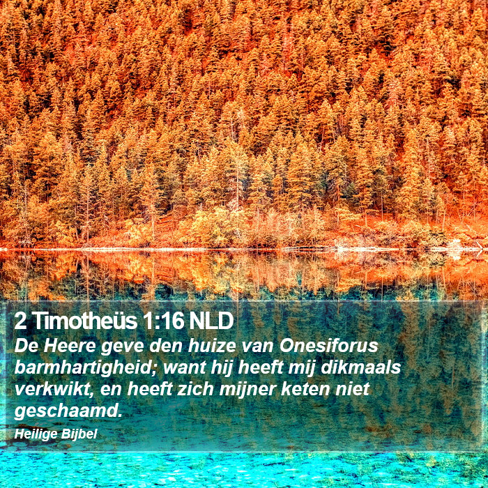 2 Timotheüs 1:16 NLD Bible Study