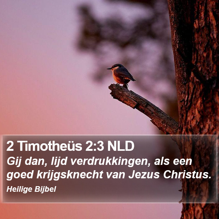 2 Timotheüs 2:3 NLD Bible Study