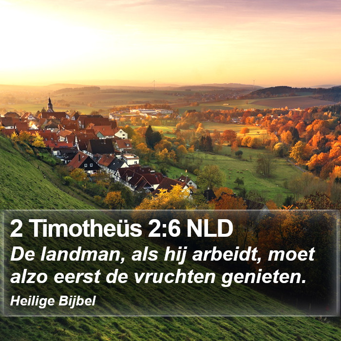 2 Timotheüs 2:6 NLD Bible Study