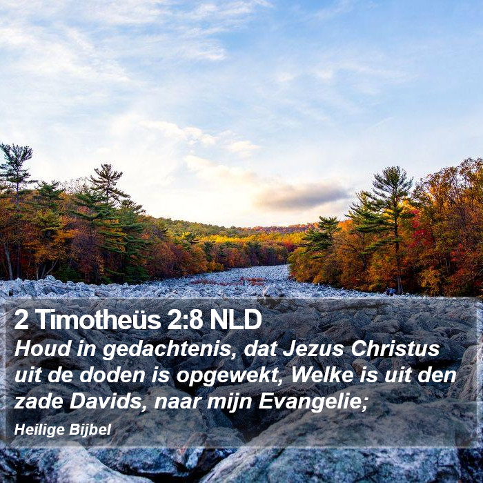 2 Timotheüs 2:8 NLD Bible Study