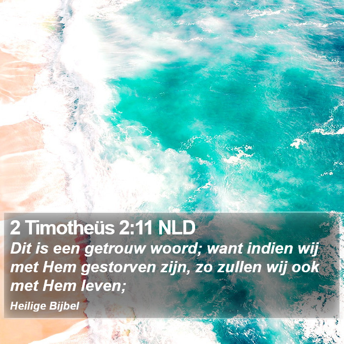 2 Timotheüs 2:11 NLD Bible Study