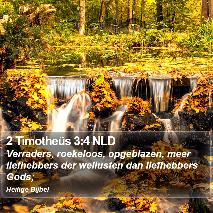 2 Timotheüs 3:4 NLD Bible Study
