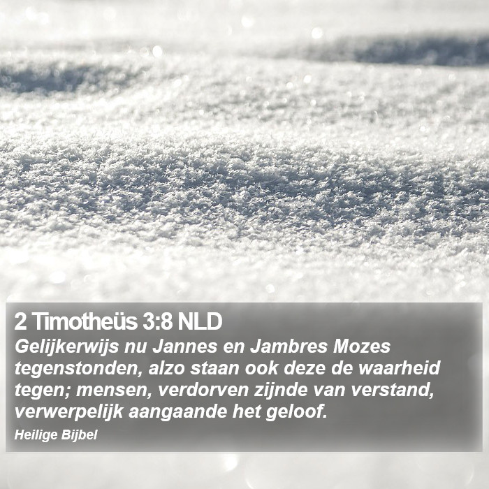2 Timotheüs 3:8 NLD Bible Study