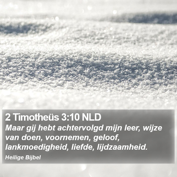 2 Timotheüs 3:10 NLD Bible Study