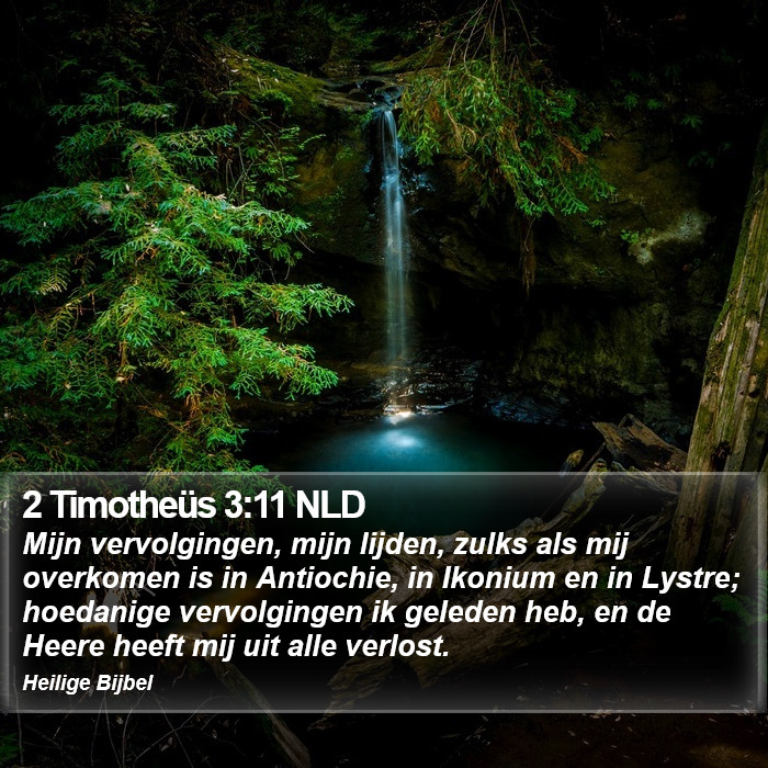2 Timotheüs 3:11 NLD Bible Study