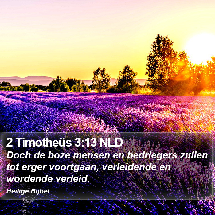 2 Timotheüs 3:13 NLD Bible Study