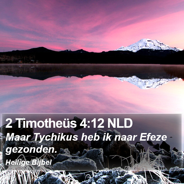 2 Timotheüs 4:12 NLD Bible Study