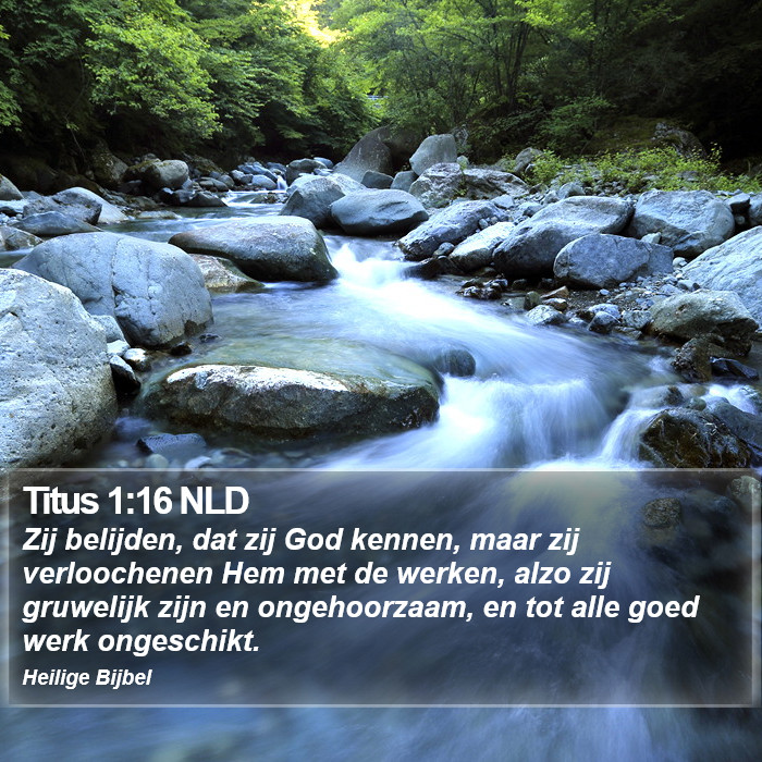 Titus 1:16 NLD Bible Study